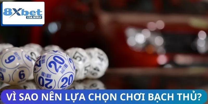 Lý do người chơi nên sử dụng hình thức ngày bạch thủ lô