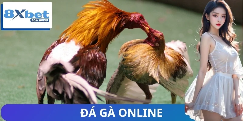 Thị Trường Đá Gà Online Và Sự Tăng Trưởng Của 8XBET