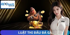 Những Thay Đổi Mới Trong Luật Thi Đấu Đá Gà 8XBET