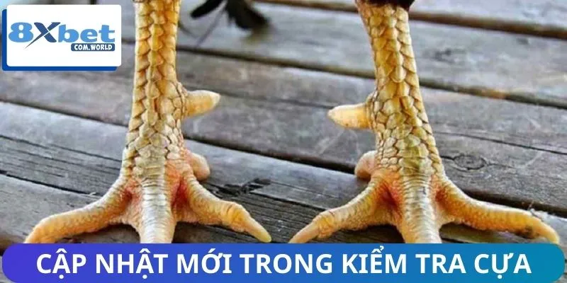 Lưu ý những thay đổi về cựa