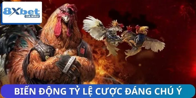 Cập nhật tin nổi bật nhất về đá gà với biến động tỷ lệ cược